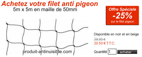 filet pigeon maille 50
